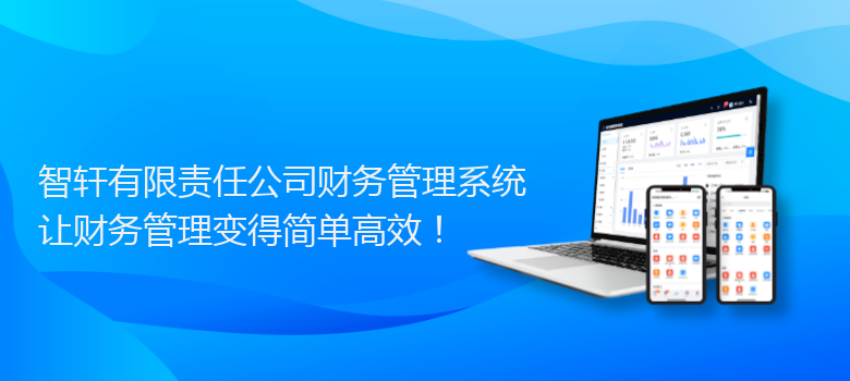 有限责任公司财务管理系统
